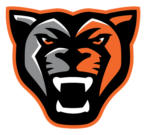 Orange Panthers Football