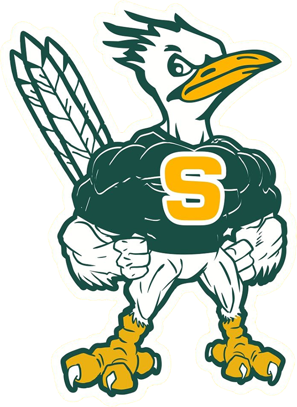 Saddleback Roadrunners Football