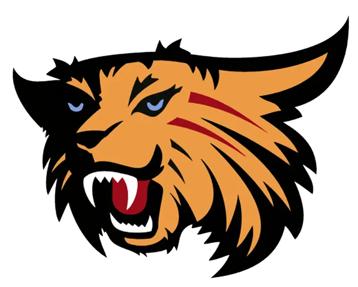 Wilson Wildcats Football